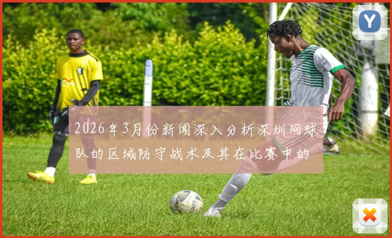 2026年3月份新闻深入分析深圳网球队的区域防守战术及其在比赛中的应用效果